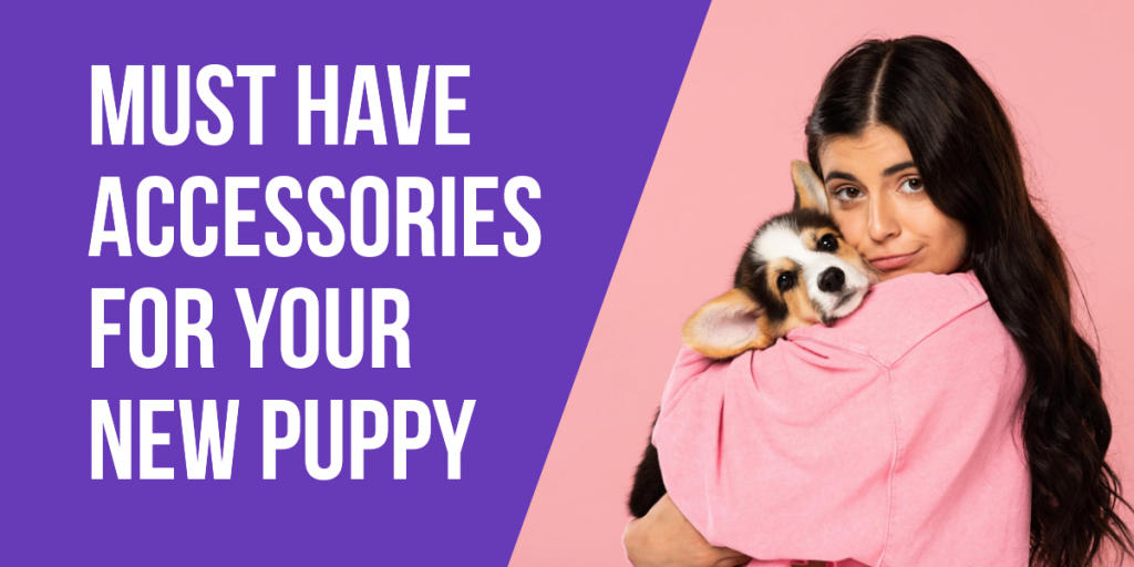 Must Have Accessories For Your New Puppy