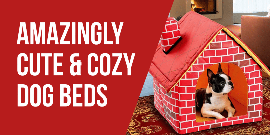 Amazingly Cute and Cozy Dog Beds