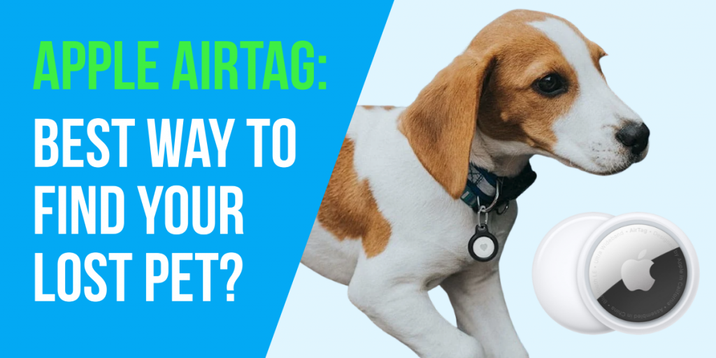 Apple Airtag: Best alternative to micro-chipping your dog?